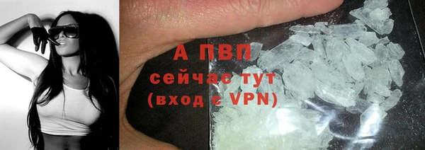 стафф Аркадак