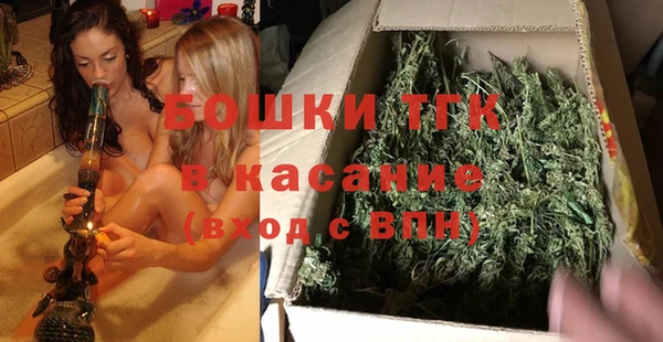 стафф Аркадак