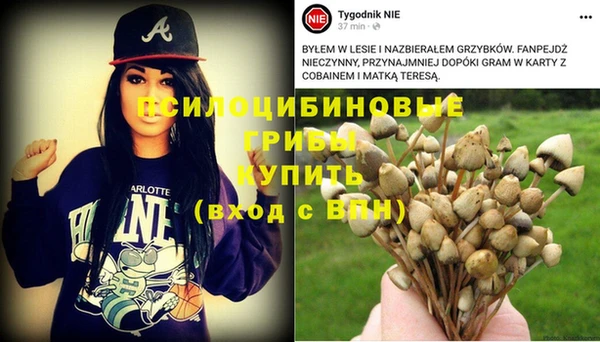 прущая мука Арсеньев