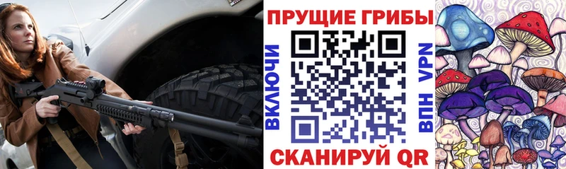 Галлюциногенные грибы прущие грибы  Рославль 